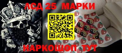 гидра Будённовск