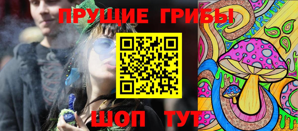 Буйнакск  Псилоцибиновые грибы Psilocybine cubensis  Вход с VPN 